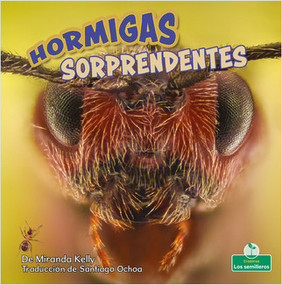Hormigas sorprendentes (Amazing Ants) - 9781039648111 by Miranda Kelly, 9781039648111