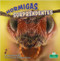 Hormigas sorprendentes (Amazing Ants) - 9781039648111 by Miranda Kelly, 9781039648111