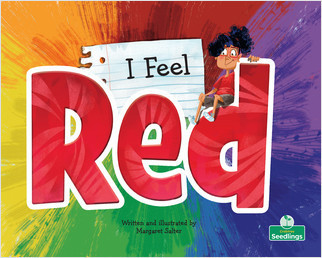 I Feel Red by Margaret Salter, Margaret Salter, 9781039806931