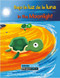 Bajo la luz de la luna (In the Moonlight) Bilingual by Kathy Broderick, Dean Gray, 9781649967367