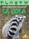 La cola (Tail) by Amy Culliford, 9781039649163