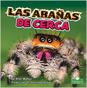 Las arañas de cerca (Spiders Up Close) by Alan Walker, 9781039649422