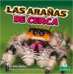 Las arañas de cerca (Spiders Up Close) - 9781039648159 by Alan Walker, 9781039648159