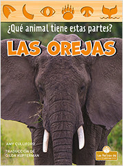 Las orejas (Ears) by Amy Culliford, 9781039649149