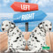 Left and Right by Taylor Farley, Amy Culliford, 9781427128447