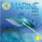 Marine Biome by Kerri Mazzarella, 9781638975830