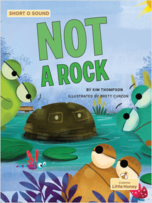NOT a Rock by Kim Thompson, Brett Curzon, 9781039800625