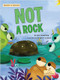 NOT a Rock by Kim Thompson, Brett Curzon, 9781039800625
