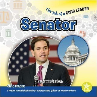 Senator by Stephanie Gaston, 9798887350264