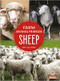 Sheep - 9781427132505 by Amy Culliford, Amy Culliford, Jean-Pierre Gaston, 9781427132505