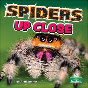 Spiders Up Close - 9781039644656 by Alan Walker, 9781039644656