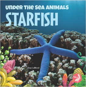 Starfish - 9781638971535 by Amy Culliford, 9781638971535
