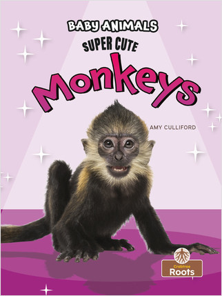 Super Cute Monkeys - 9781039696327 by Amy Culliford, 9781039696327