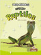 Super Cute Reptiles - 9781039697423 by Amy Culliford, 9781039697423
