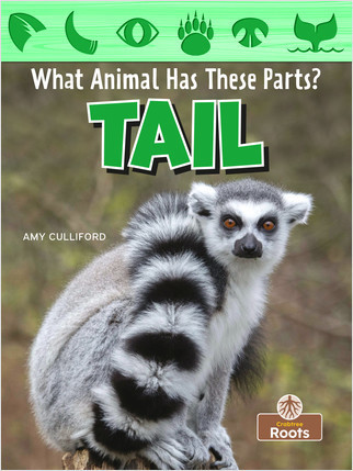 Tail by Amy Culliford, 9781039644397