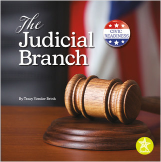 The Judicial Branch by Tracy Vonder Brink, 9781638970897