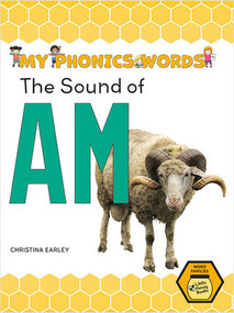 The Sound of AM by Christina Earley, 9781039663275