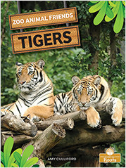 Tigers - 9781039661622 by Amy Culliford, 9781039661622
