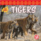 Tigers - 9781638974369 by Alicia Rodriguez, 9781638974369