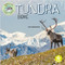 Tundra Biome by Kerri Mazzarella, 9781638975847