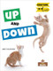 Up and Down - 9781039644366 by Amy Culliford, 9781039644366