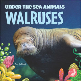 Walruses - 9781638970729 by Amy Culliford, 9781638970729