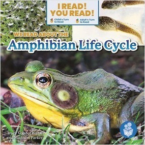 We Read about the Amphibian Life Cycle by Tracy Vonder Brink, Madison Parker, 9798887351926