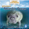 We Read about the Atlantic Ocean by Lauren Gordon, Madison Parker, 9798887351964