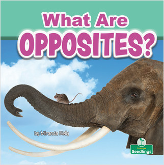What Are Opposites? by Miranda Kelly, Amy Culliford, 9781427128546