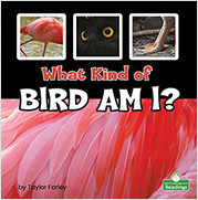 What Kind of Bird Am I? by Taylor Farley, 9781039662100
