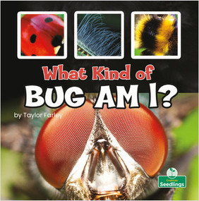 What Kind of Bug Am I? by Taylor Farley, 9781039660168