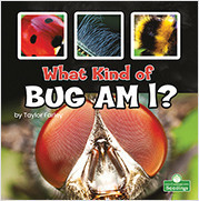 What Kind of Bug Am I? - 9781039662117 by Taylor Farley, 9781039662117