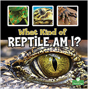 What Kind of Reptile Am I? by Taylor Farley, 9781039662131