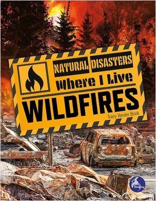 Wildfires - 9781638974796 by Tracy Vonder Brink, 9781638974796