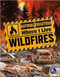 Wildfires - 9781638974796 by Tracy Vonder Brink, 9781638974796