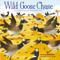 Wild Goose Chase by Kathy Broderick, Dragan Kordić, Dragan Kordić, 9781649961594