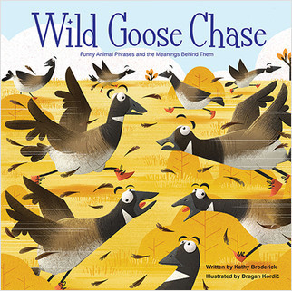 Wild Goose Chase - 9781649966810 by Kathy Broderick, Dragan Kordić, Dragan Kordić, 9781649966810