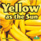 Yellow as the Sun by Alan Walker, 9781039662261