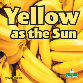 Yellow as the Sun - 9781039660311 by Alan Walker, 9781039660311