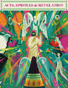 The Biggest Story Curriculum, Volume 5 (Acts, Epistles & Revelation (Stories 85-104)) by Don Clark, Crossway Publishers, 9781433589027