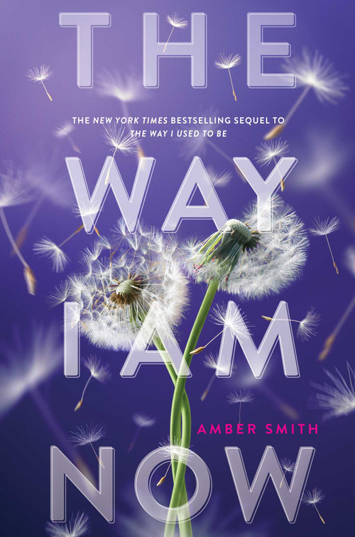 The Way I Am Now by Amber Smith, 9781665947107