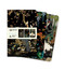 Ashmolean Museum Set of 3 Mini Notebooks by Flame Tree Studio, 9781804176412