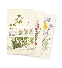 Royal Botanic Garden Edinburgh Set of 3 Mini Notebooks by Flame Tree Studio, 9781804176429
