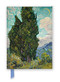 Vincent van Gogh: Cypresses (Foiled Journal) by Flame Tree Studio, 9781804176498