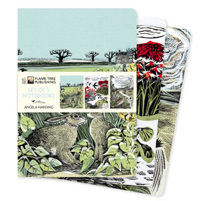 Angela Harding: Landscapes Set of 3 Standard Notebooks by Flame Tree Studio, 9781804176801