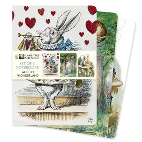Alice in Wonderland Set of 3 Standard Notebooks by Flame Tree Studio, 9781804176818