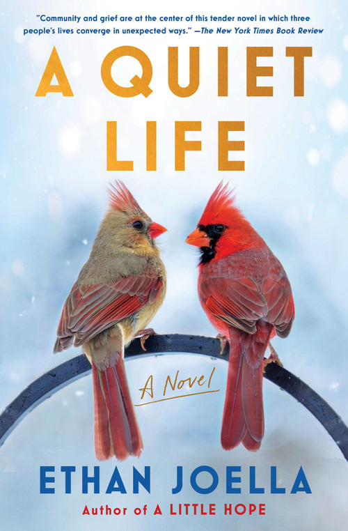 A Quiet Life (A Novel) - 9781982190989 by Ethan Joella, 9781982190989