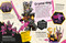 LEGO Ninjago Secret World of the Ninja (Library Edition) (Without Minifigure) by Shari Last, 9780744084641