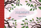 Birdsong: A Story in Pictures (TOON Level 1) by James Sturm, 9781935179948