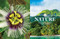 Best of the World (1,000 Destinations of a Lifetime) by National Geographic, 9781426222368